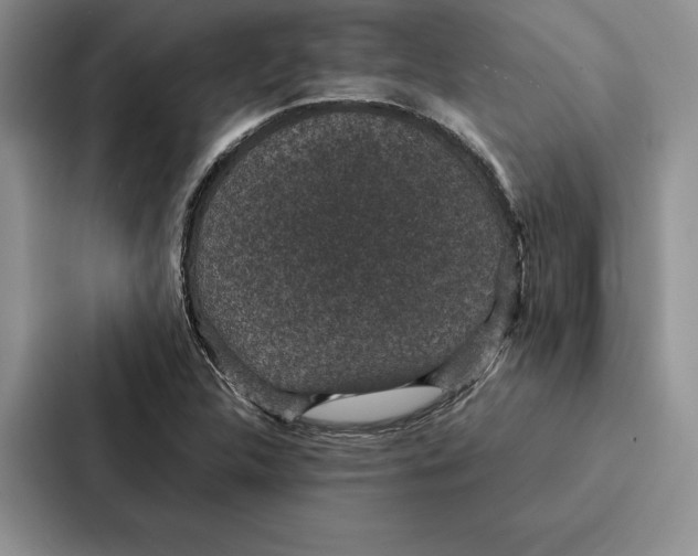 X0000086891312200705141615