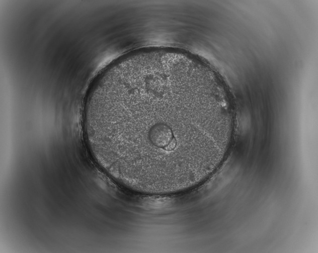 X0000086891314200705141615