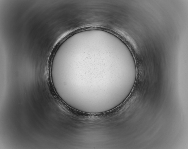 X0000086891316200705141615