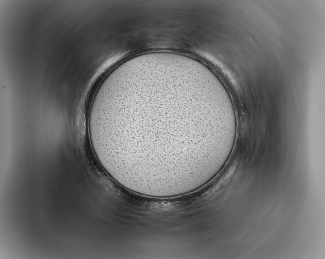 X0000086891317200705141615