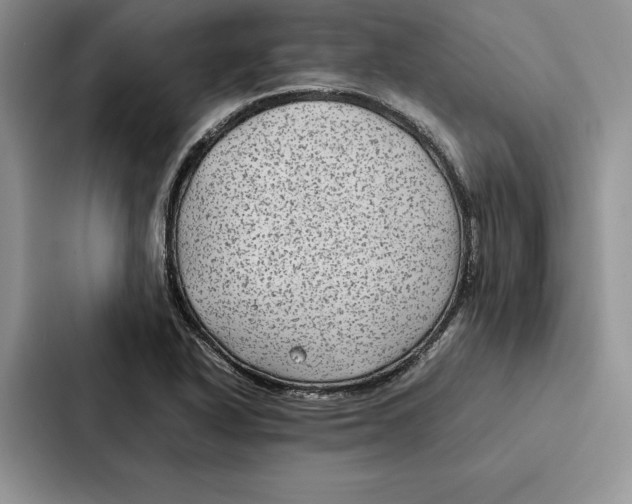 X0000086891318200705141615