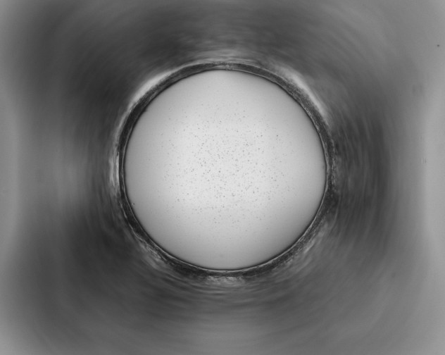 X0000086891320200705141615