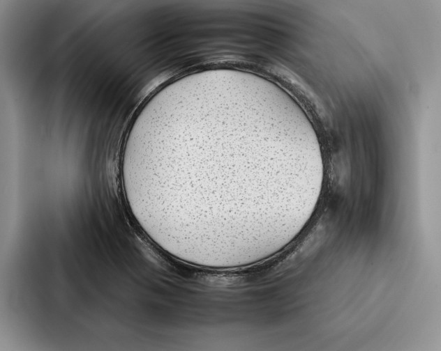 X0000086891321200705141615