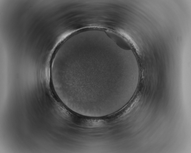 X0000086891323200705141615