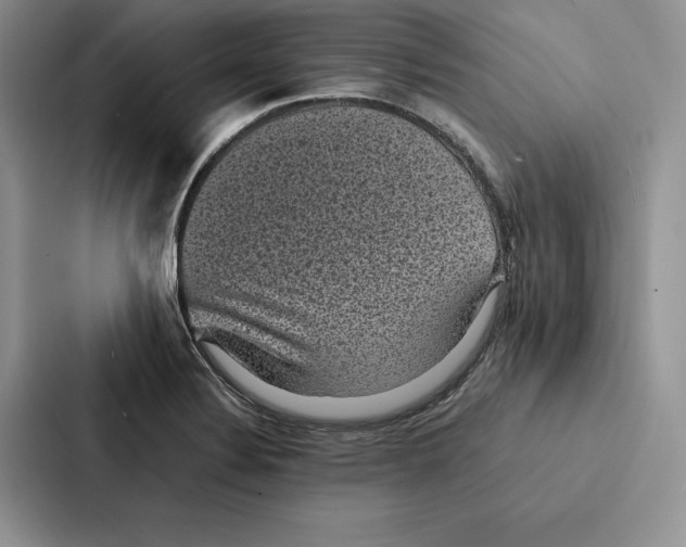 X0000086891324200705141615