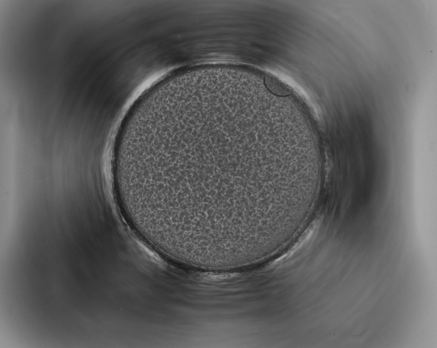 X0000086891325200705141615