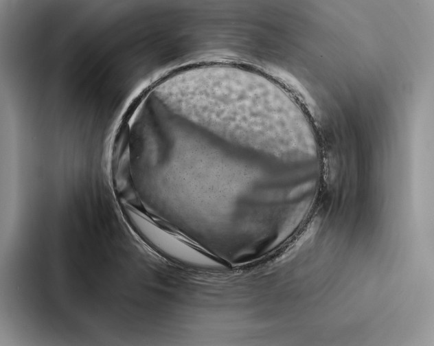 X0000086891326200705141615