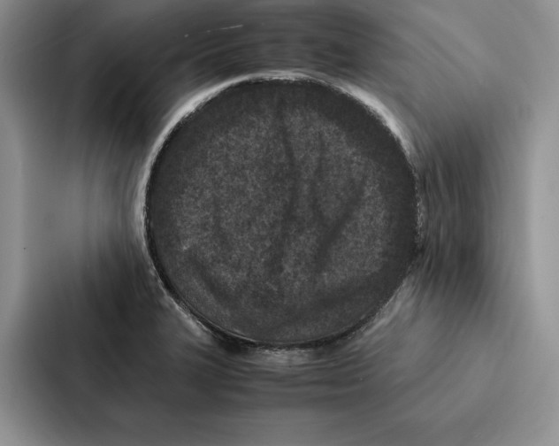 X0000086891327200705141615