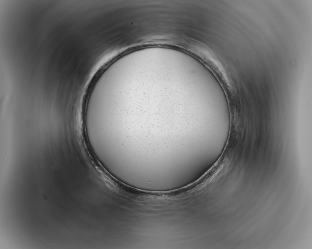 X0000086891328200705141615