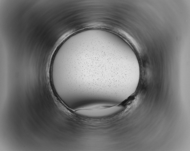 X0000086891330200705141615