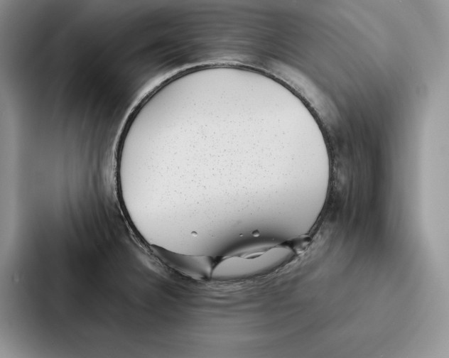 X0000086891332200705141615