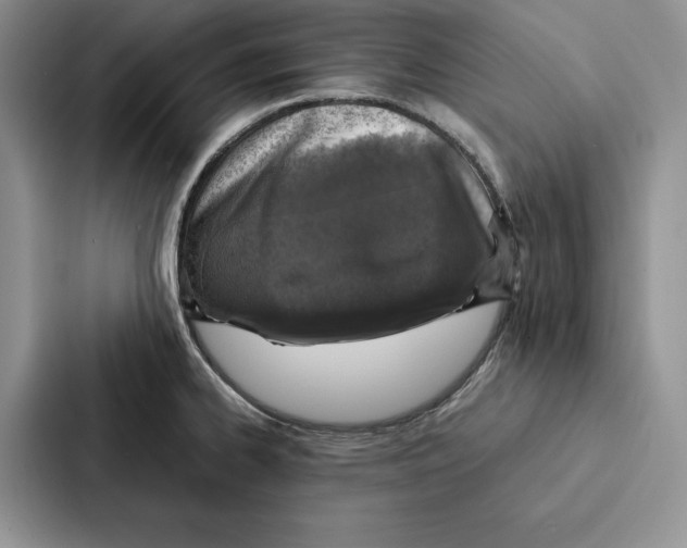 X0000086891334200705141615