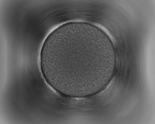 X0000086891335200705141615