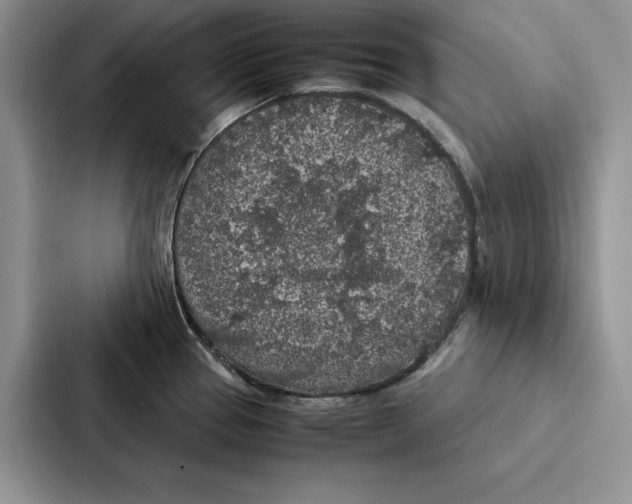 X0000086891337200705141615