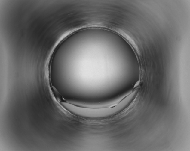 X0000086891342200705141615