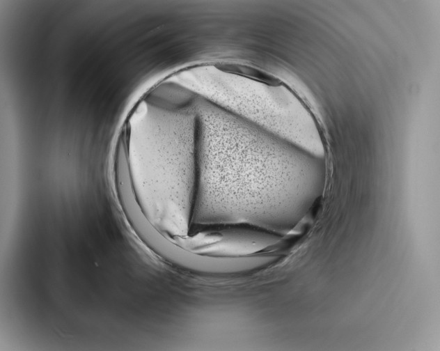 X0000086891344200705141615