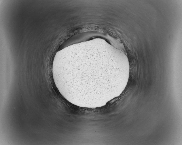 X0000086891345200705141614