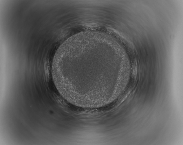 X0000086891346200705141614