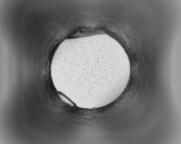 X0000086891349200705141614