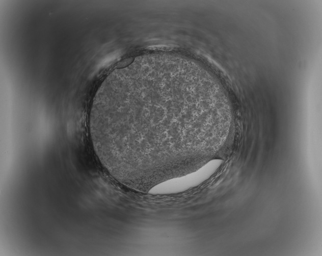 X0000086891351200705141614