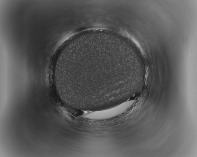 X0000086891352200705141614