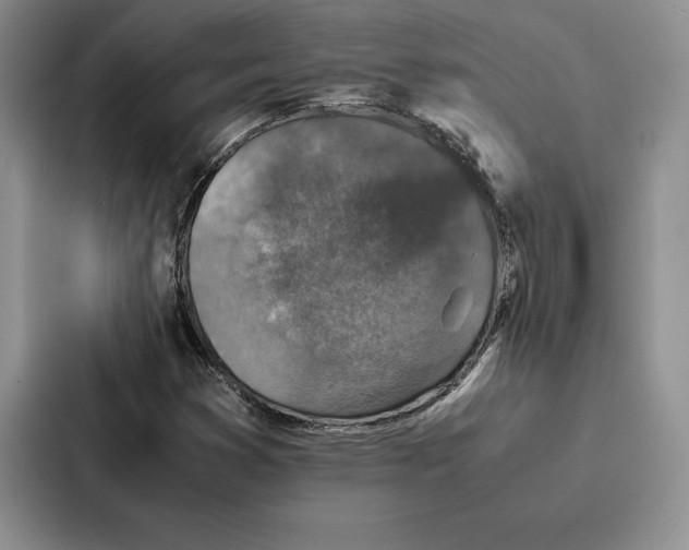 X0000086891353200705141614