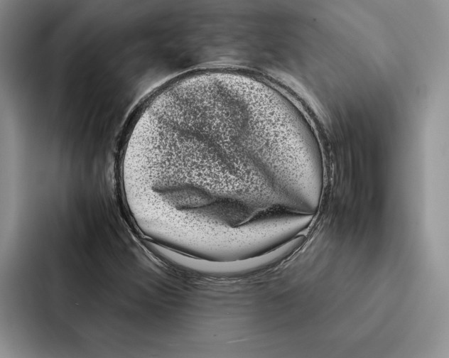 X0000086891356200705141614