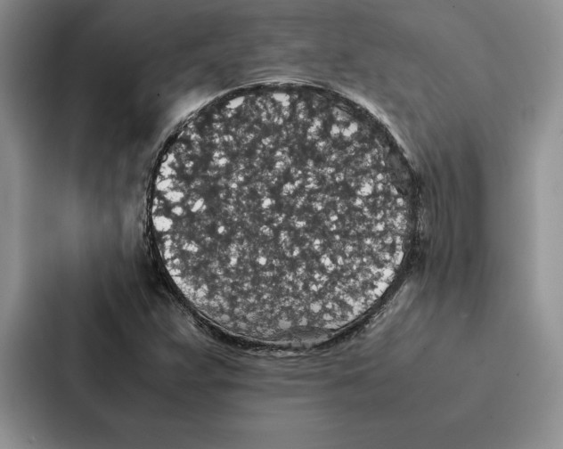 X0000086891359200705141614