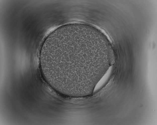 X0000086891363200705141614