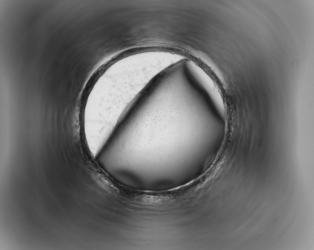 X0000086891364200705141614