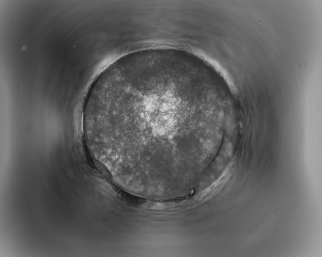 X0000086891365200705141614