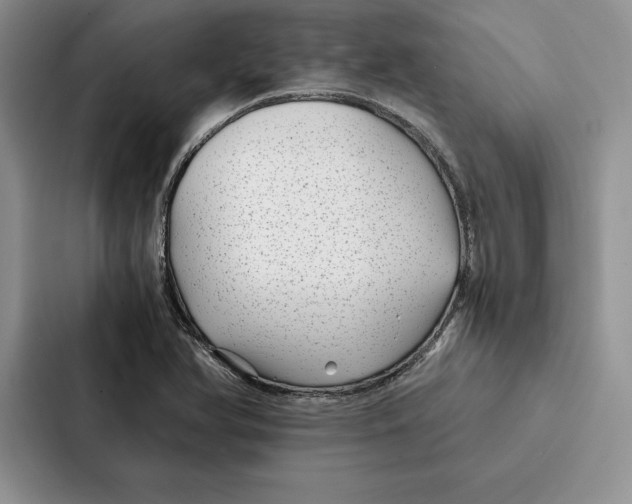 X0000086891366200705141614