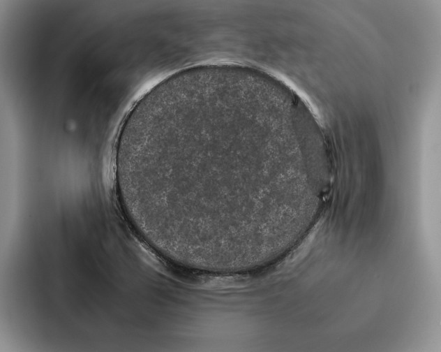 X0000086891367200705141614