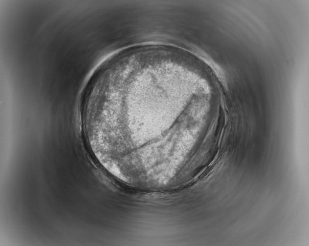 X0000086891368200705141614