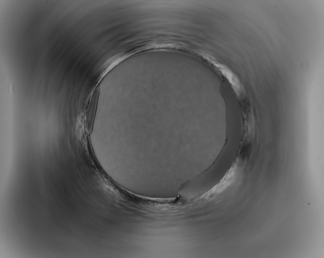 X0000086891369200705141614