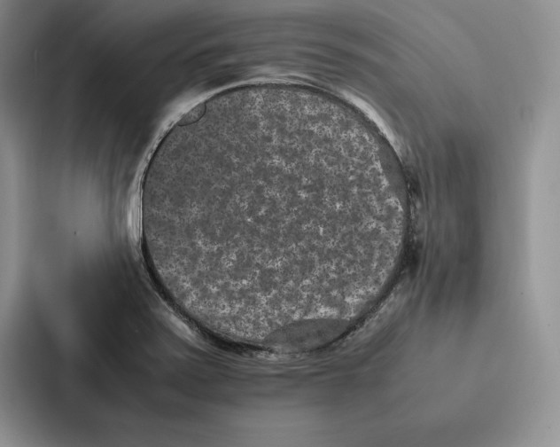 X0000086891371200705141614