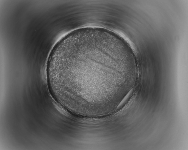 X0000086891372200705141614