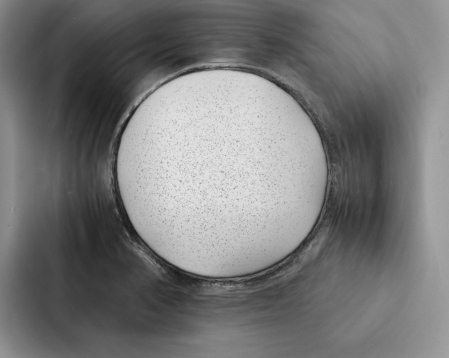 X0000086891374200705141614