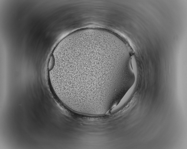 X0000086891375200705141614