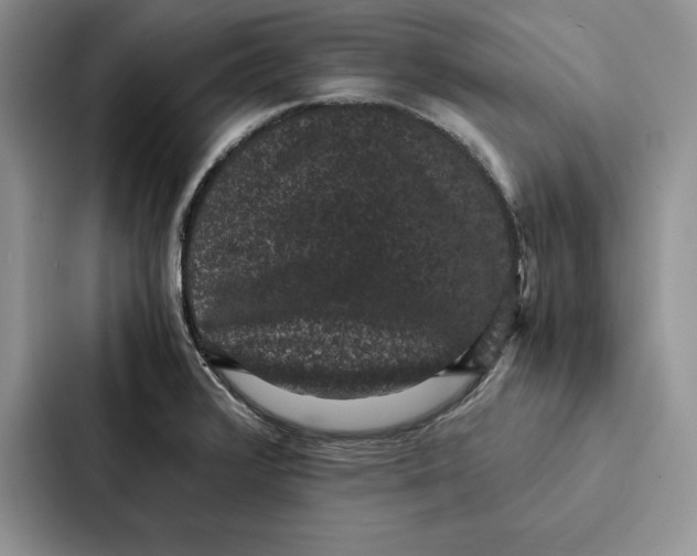 X0000086891376200705141614