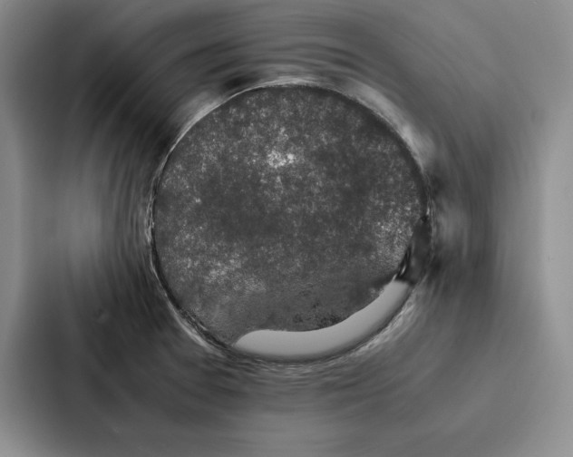 X0000086891377200705141614