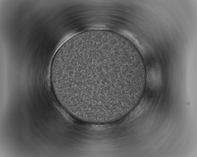 X0000086891378200705141614