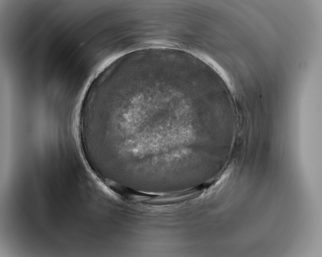 X0000086891381200705141614