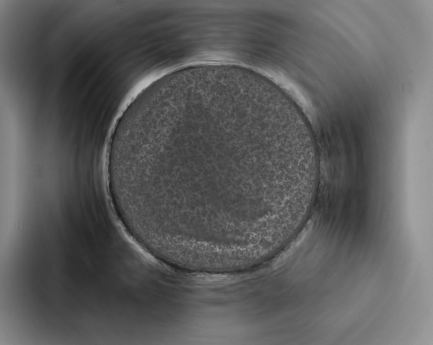 X0000086891382200705141614