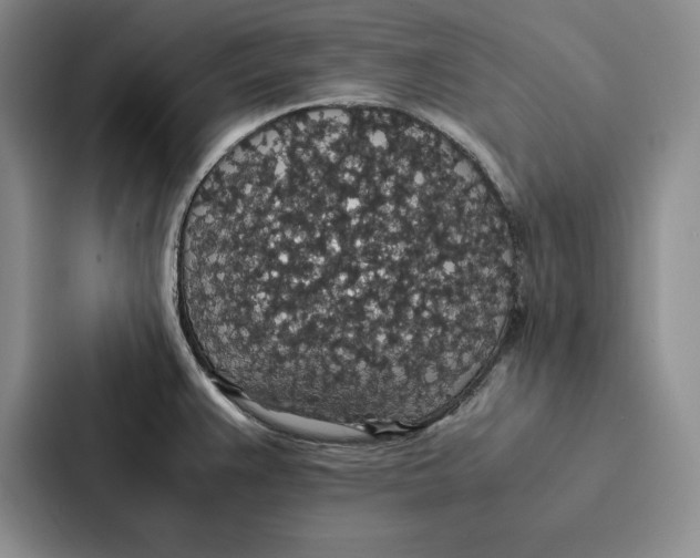 X0000086891383200705141614