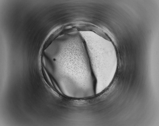 X0000086891384200705141614