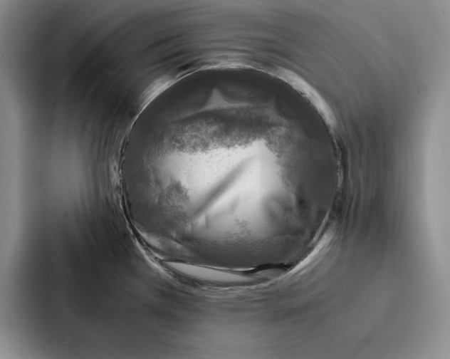 X0000086891385200705141614