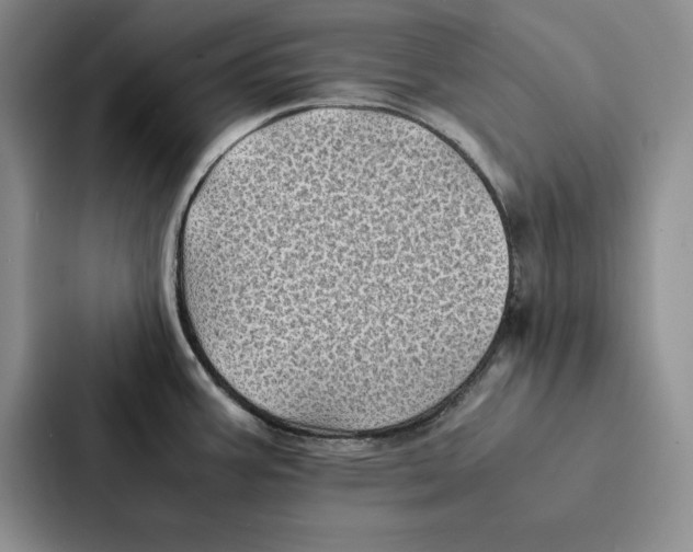 X0000086891387200705141614