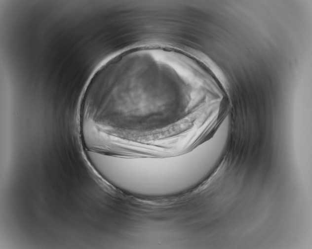 X0000086891388200705141614