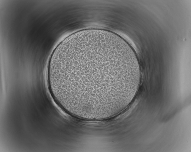 X0000086891391200705141614